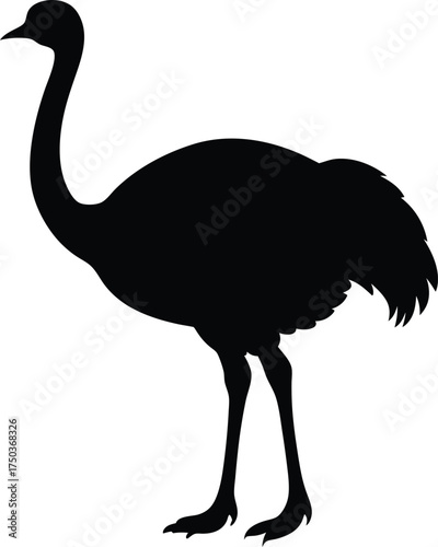 Ostrich silhouette vector art illustration