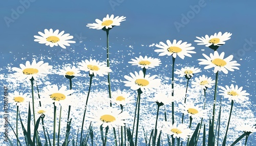 Delicate daisies against a blue sky.