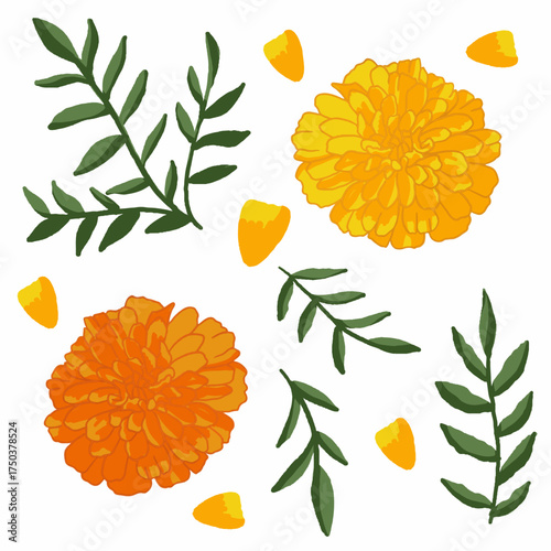 Vibrant marigold flower illustration in orange and yellow tones with green leaves. Perfect for Diwali decorations, floral patterns, greeting cards, or botanical design projects.