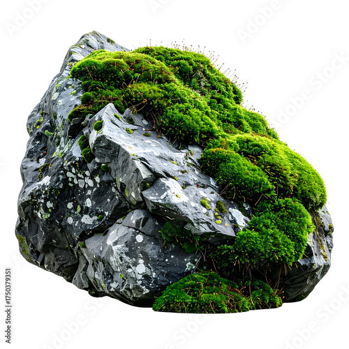 A large, jagged gray rock covered with vibrant green moss against a transparent background