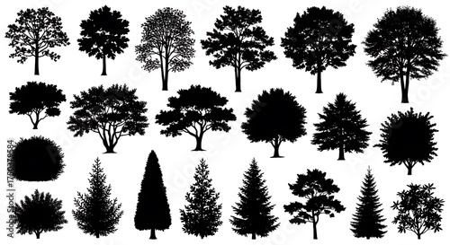 Diverse Tree Silhouettes - A Collection of Arboreal Forms.