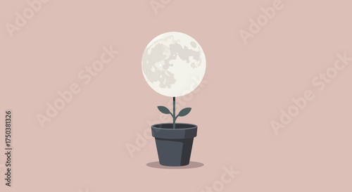 Moon Plant Growing from a Silent Flowerpot