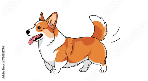 A happy corgi dog wags its tail in excitement during a playful moment outdoors.