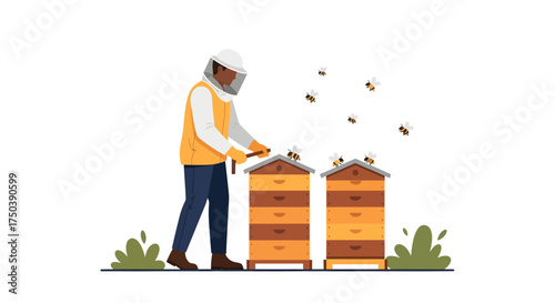 Dedicated Beekeeper Tending to Beehives for Natural Honey Production; Flat Vector Illustration of Apiculture Hobby and Sustainable Farming Practice