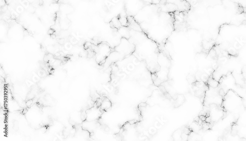White Marble Texture Background with Natural Gray Veins