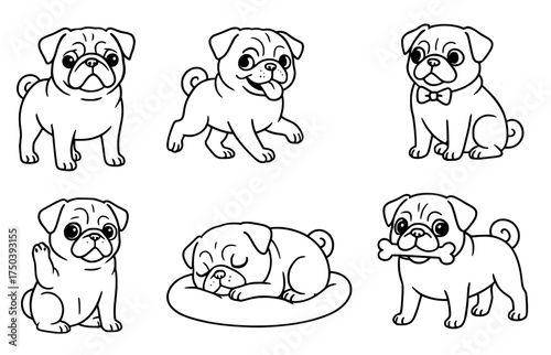 Dog vector outline for coloring, collection of 6 Pugs