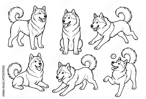 Dog vector outline for coloring, collection of 6 Alaskan Malamute