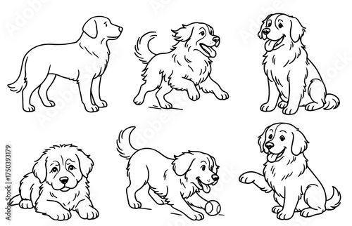Dog vector outline for coloring, collection of 6 Bernese Mountain Dogs