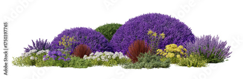 garden shrubs isolated on transparent background