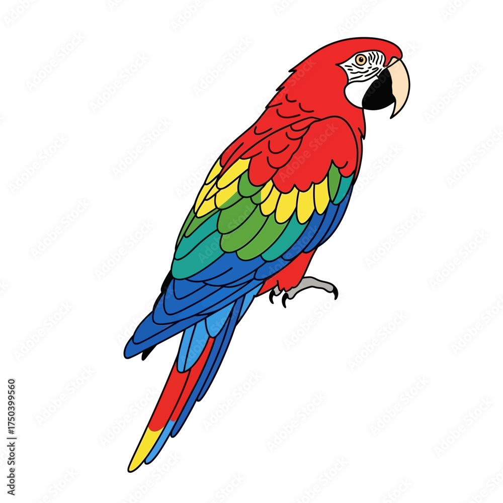 Fototapeta premium Vibrant macaw parrot artwork with bright colors, ideal for children's books and tropical-themed designs featuring exotic birds and wildlife conservation