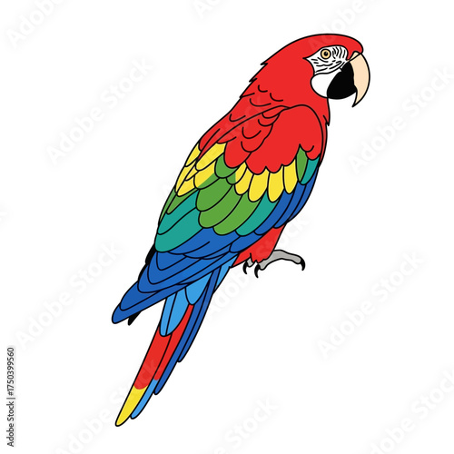 Vibrant macaw parrot artwork with bright colors, ideal for children's books and tropical-themed designs featuring exotic birds and wildlife conservation