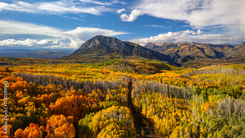 Konstfotografi Aerial view of scenic landscape of brilliant fall foliage at Kebler pass near Crested Butte, Colorado
