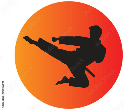 Silhouette of a martial artist performing high kick inside radiant orange-red circle, ideal for karate, taekwondo, self-defense, fitness branding, competition posters, and stock visuals for power, dis