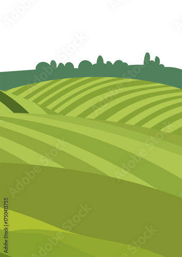 Green rolling hills with distinct plant rows. Abstract landscape of farm field or grass. Agricultural land for nature and environment concept.