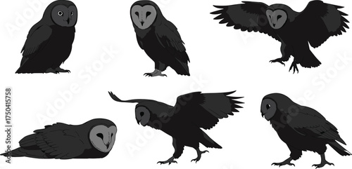 MobileDark barn owl silhouette, flying owl vector, wildlife illustration, nocturnal bird pose, black owl clipart, animal anatomy reference, predator art