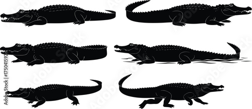 MobileCrocodile silhouette vector, alligator reptile illustration, wild predator animal, dangerous reptile art, wildlife design, swamp reptile graphic, nature predator shape, animal silhouette