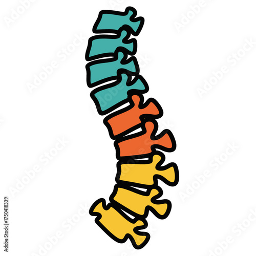 Human Spine Anatomy Depiction Illustrating Vertebral Structure.