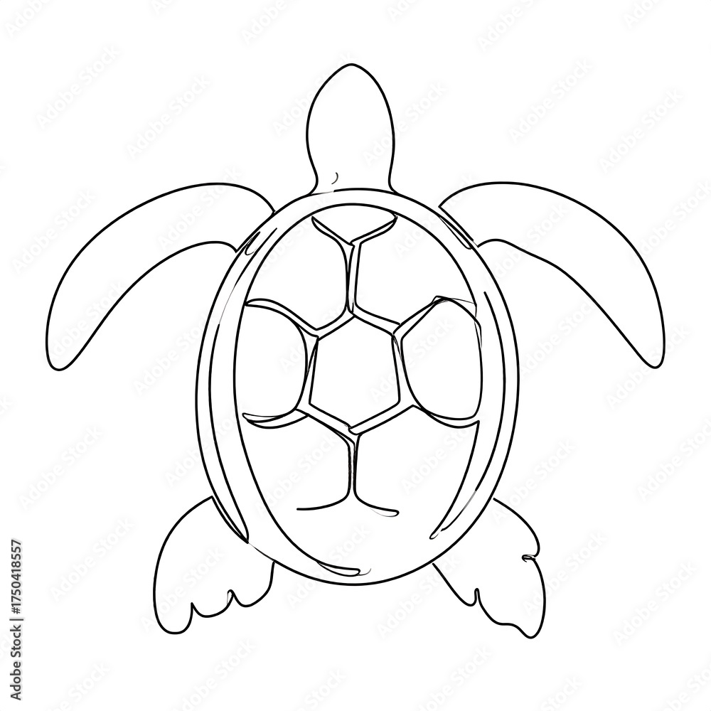 Fototapeta premium Simple black and white turtle drawing