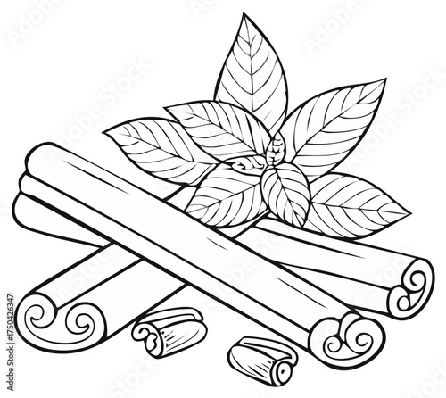Cinnamon sticks and fresh herb leaves black and white line art illustration for coloring