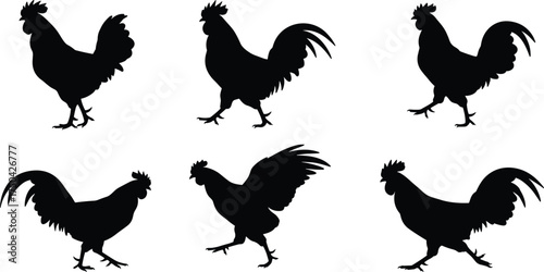 MobileRooster silhouette set, farm bird vector, poultry animal icon, black chicken shapes, crowing cock poses, rural livestock illustration