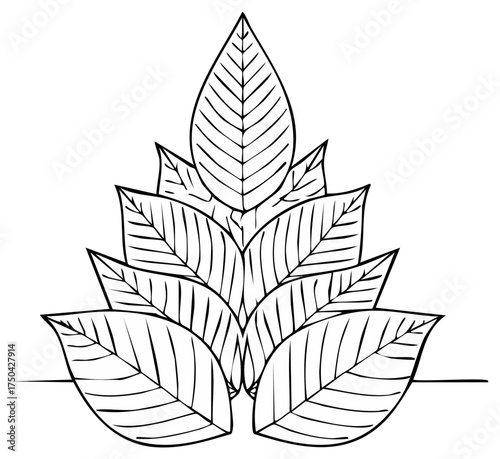 Elegant cascading leaf arrangement features detailed line art in a botanical illustration ideal for nature inspired design or coloring books