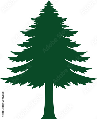 Silhouette of a tall green pine tree against a white background