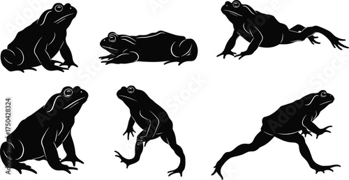 MobileSet of black silhouettes of a frog in various poses on a white background, including sitting, crouching, and jumping, vector illustration for nature, biology, or animal-related designs