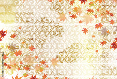 紅葉　もみじ　秋　背景	