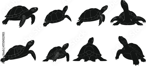 Turtle silhouette set, black turtle icons, reptile vector illustration, crawling turtle shapes, wildlife graphic design, animal clipart collection, nature black turtle icons, reptile vector 