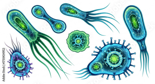 Bacteria and virus cells vector illustration for medical science and microbiology research use 100