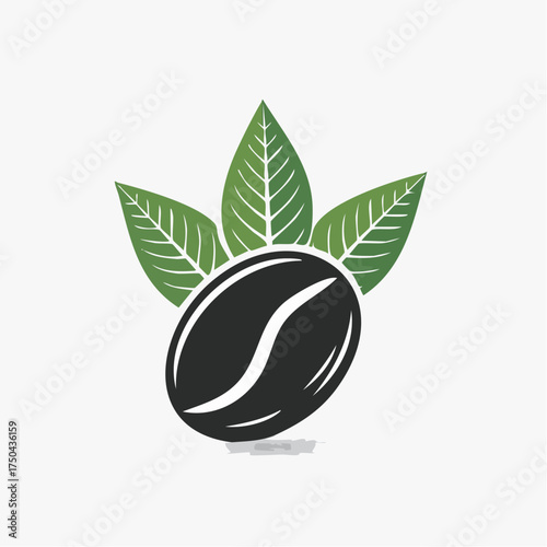 Coffee bean with green leaves fresh and natural.