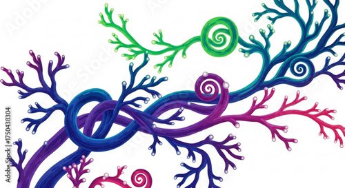 Colorful coral reef branches illustration for marine life and nature enthusiasts, underwater design art print