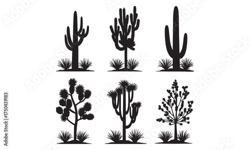 Explore a versatile collection of high-quality black cactus and succulent silhouettes, perfect for logos, decor, stationery, and digital designs. Instantly download clean, scalable vector