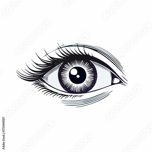 Detailed Eye Illustration Focus and Precision.