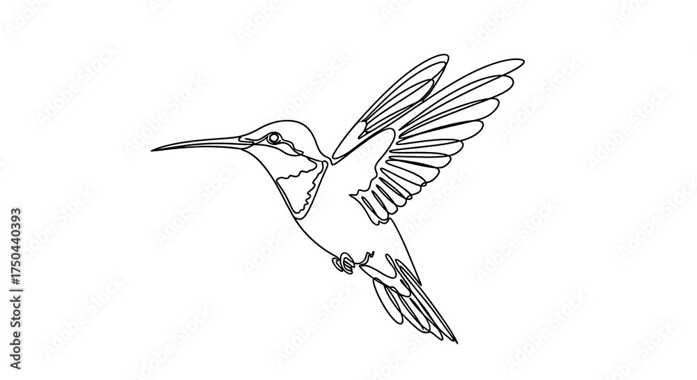 Fototapeta premium Hummingbird in Flight - A Minimalist Line Art Illustration.