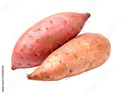 Two raw elongated root vegetables with pinkish-brown skin and textured surfaces