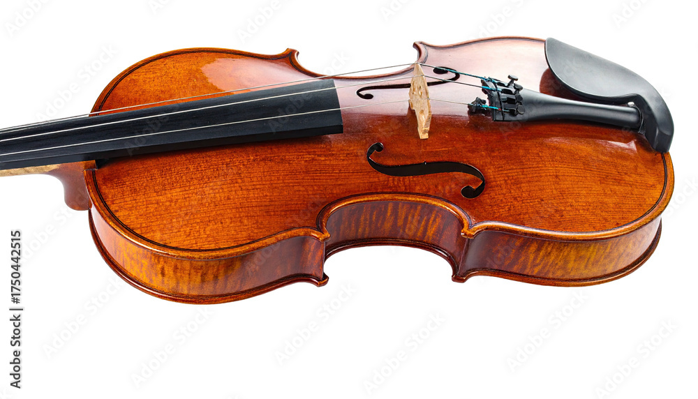 Fototapeta premium Close-up of a wooden stringed musical instrument, with detailed curves and f-holes