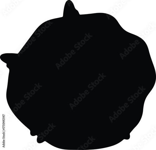 Vector silhouette lemon citrus fruit isolated illustration
