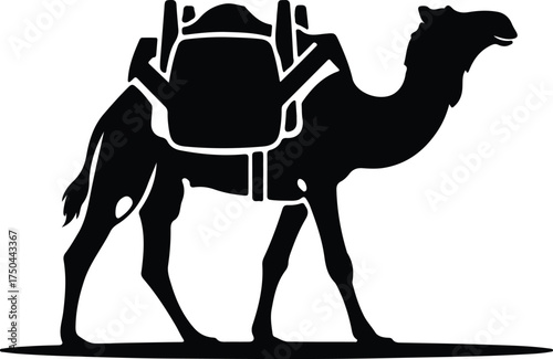 Vector silhouette of a dromedary camel with saddle illustration
