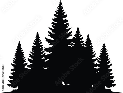 Vector silhouette of evergreen trees forest landscape illustration