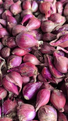 shallot, close-up shot, Allium ascalonicum