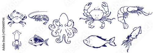 Vector illustration background, wallpaper, backdrop. Vintage hand drawn sketch. Collection of seafood