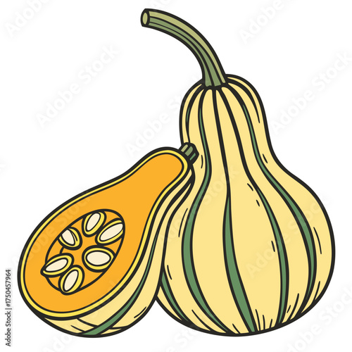 crookneck squash on white background 