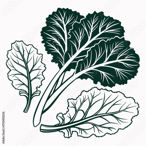 collard greens with leaves