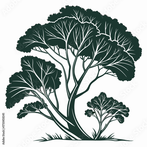  collard greens vector