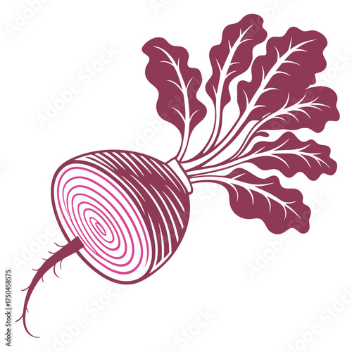 chioggia beet with leaves