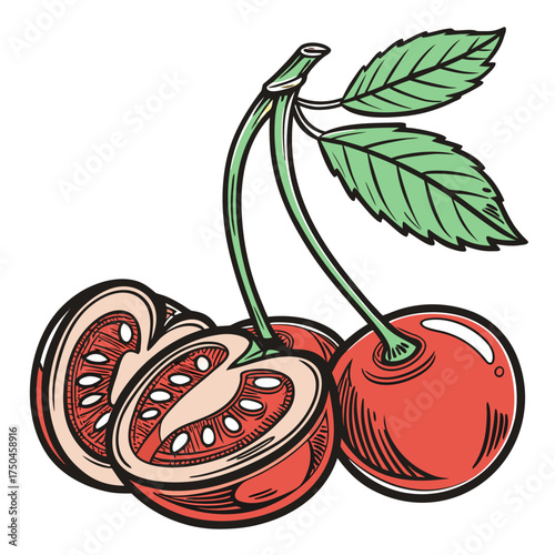 cherry tomato with leaved