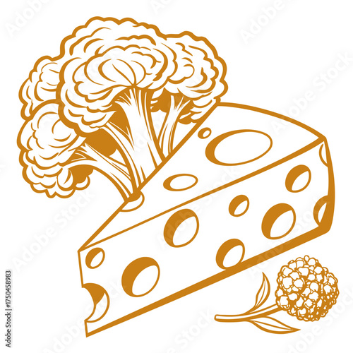 cheddar cauliflower vector