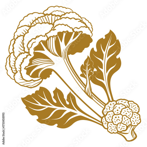 cheddar cauliflower with leaves