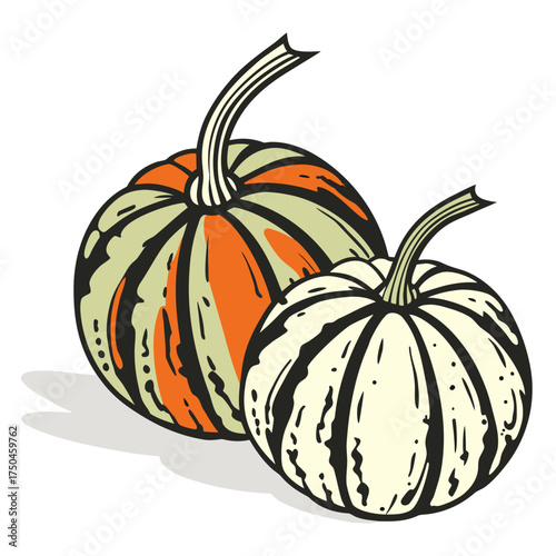 carnival squash vector